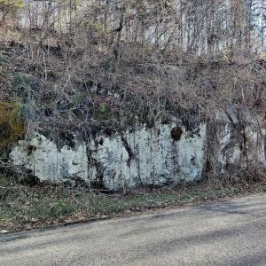 Photo #10 of SOLD property in Off Wagon Trail Road, Monroe, VA 9.2 acres