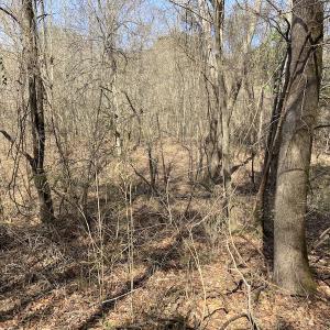 Photo #2 of Off Woodberry Drive, Grimesland, NC 12.4 acres