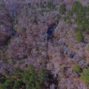 Photo #5 of Off Woodberry Drive, Grimesland, NC 12.4 acres