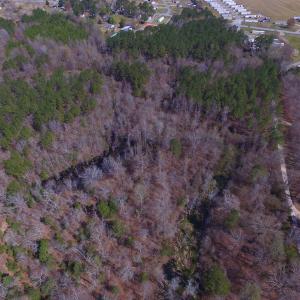 Photo #7 of Off Woodberry Drive, Grimesland, NC 12.4 acres