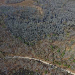 Photo #8 of Off Woodberry Drive, Grimesland, NC 12.4 acres