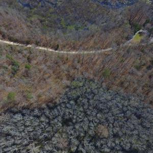 Photo #10 of Off Woodberry Drive, Grimesland, NC 12.4 acres