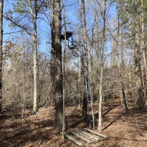 Photo #13 of Off Woodberry Drive, Grimesland, NC 12.4 acres