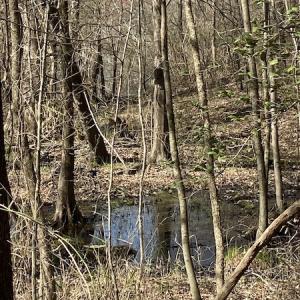 Photo #16 of Off Woodberry Drive, Grimesland, NC 12.4 acres