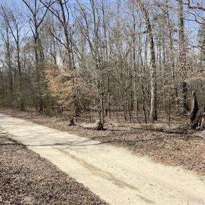 Photo #15 of Off Woodberry Drive, Grimesland, NC 12.4 acres