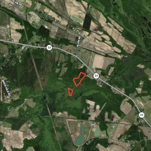 Photo #17 of Off Woodberry Drive, Grimesland, NC 12.4 acres