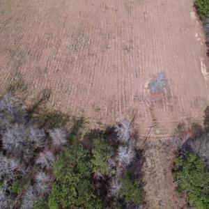 Photo #10 of SOLD property in Off Titan Roberts Road, Erwin, NC 1.1 acres