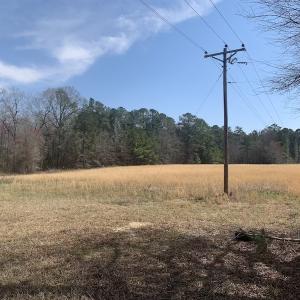 Photo #11 of SOLD property in Off Titan Roberts Road, Erwin, NC 1.1 acres
