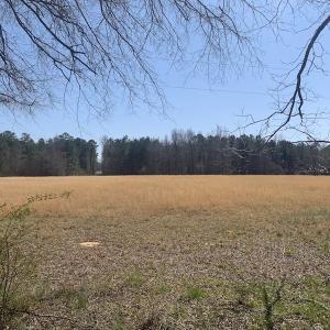 Photo #12 of SOLD property in Off Titan Roberts Road, Erwin, NC 1.1 acres