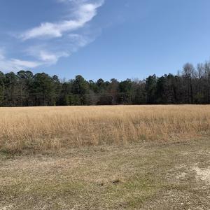 Photo #13 of SOLD property in Off Titan Roberts Road, Erwin, NC 1.1 acres