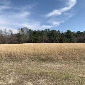 Photo #14 of SOLD property in Off Titan Roberts Road, Erwin, NC 1.1 acres