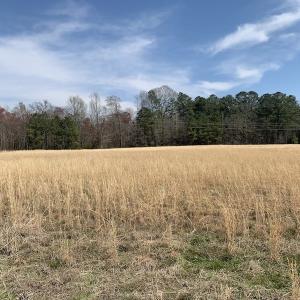 Photo #15 of SOLD property in Off Titan Roberts Road, Erwin, NC 1.1 acres