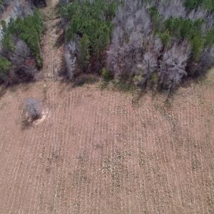 Photo #6 of SOLD property in Off Titan Roberts Road, Erwin, NC 1.1 acres