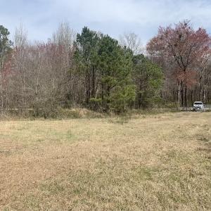 Photo #11 of SOLD property in Off Titan Roberts Road, Erwin, NC 1.3 acres