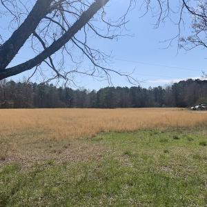 Photo #14 of SOLD property in Off Titan Roberts Road, Erwin, NC 1.3 acres