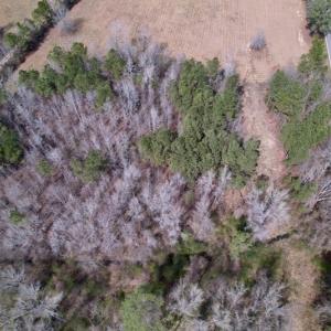 Photo #10 of SOLD property in Off Titan Roberts Road, Erwin, NC 1.7 acres