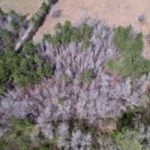 Photo #11 of SOLD property in Off Titan Roberts Road, Erwin, NC 1.9 acres
