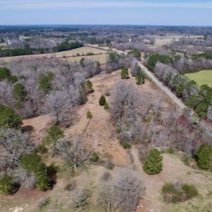 Photo #14 of SOLD property in Off Titan Roberts Road, Erwin, NC 11.3 acres