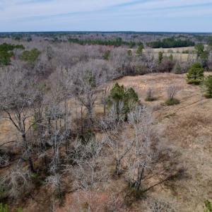 Photo #16 of SOLD property in Off Titan Roberts Road, Erwin, NC 11.3 acres
