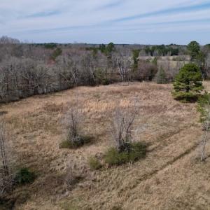 Photo #17 of SOLD property in Off Titan Roberts Road, Erwin, NC 11.3 acres