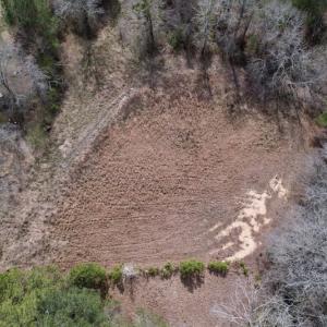 Photo #20 of SOLD property in Off Titan Roberts Road, Erwin, NC 11.3 acres