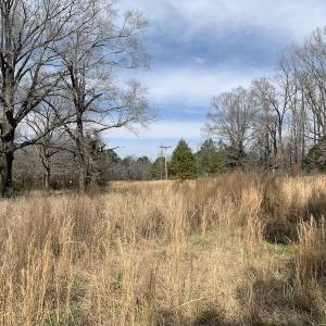 Photo #23 of SOLD property in Off Titan Roberts Road, Erwin, NC 11.3 acres