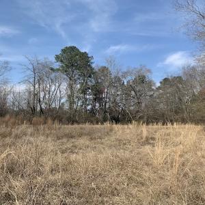 Photo #24 of SOLD property in Off Titan Roberts Road, Erwin, NC 11.3 acres
