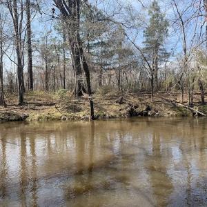 Photo #25 of SOLD property in Off Titan Roberts Road, Erwin, NC 11.3 acres
