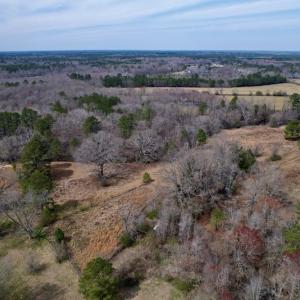 Photo #2 of SOLD property in Off Titan Roberts Road, Erwin, NC 11.3 acres