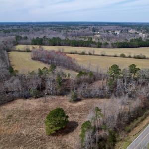 Photo #5 of SOLD property in Off Titan Roberts Road, Erwin, NC 11.3 acres