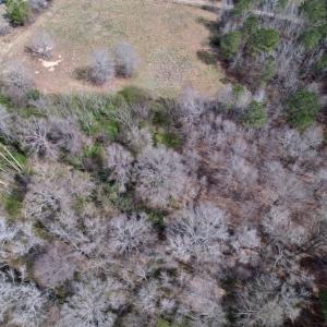 Photo #9 of SOLD property in Off Titan Roberts Road, Erwin, NC 15.3 acres