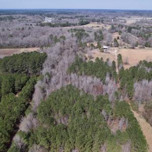 Photo #13 of SOLD property in Off Titan Roberts Road, Erwin, NC 15.3 acres