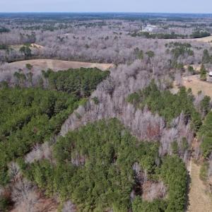 Photo #14 of SOLD property in Off Titan Roberts Road, Erwin, NC 15.3 acres