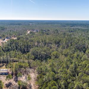 Photo #8 of SOLD property in Off Brians Woods Road, Maple Hill, NC 10.0 acres