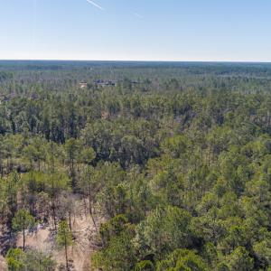 Photo #9 of SOLD property in Off Brians Woods Road, Maple Hill, NC 10.0 acres