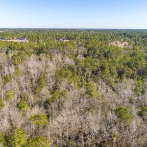 Photo #10 of SOLD property in Off Brians Woods Road, Maple Hill, NC 10.0 acres