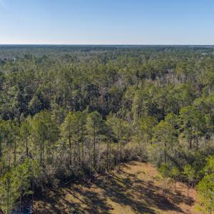 Photo #12 of SOLD property in Off Brians Woods Road, Maple Hill, NC 10.0 acres