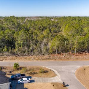 Photo #13 of SOLD property in Off Brians Woods Road, Maple Hill, NC 10.0 acres
