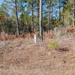 Photo #14 of SOLD property in Off Brians Woods Road, Maple Hill, NC 10.0 acres