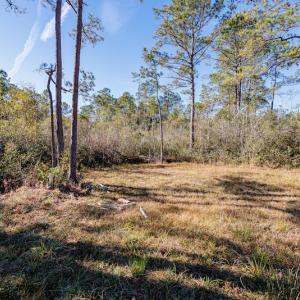 Photo #16 of SOLD property in Off Brians Woods Road, Maple Hill, NC 10.0 acres