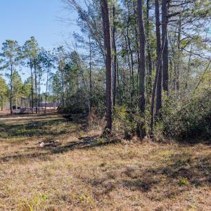 Photo #17 of SOLD property in Off Brians Woods Road, Maple Hill, NC 10.0 acres