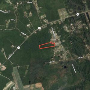 Photo #20 of SOLD property in Off Brians Woods Road, Maple Hill, NC 10.0 acres