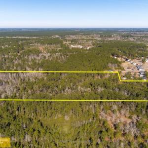 Photo #3 of SOLD property in Off Brians Woods Road, Maple Hill, NC 10.0 acres