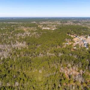 Photo #4 of SOLD property in Off Brians Woods Road, Maple Hill, NC 10.0 acres