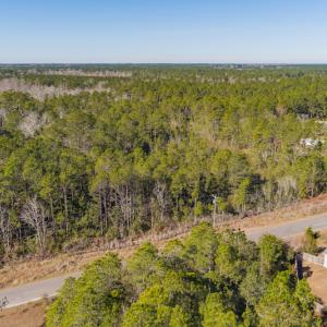 Photo #6 of SOLD property in Off Brians Woods Road, Maple Hill, NC 10.0 acres