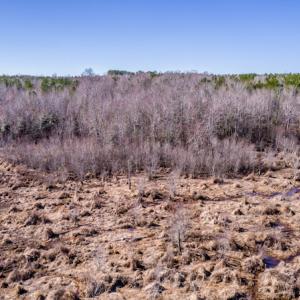 Photo #12 of SOLD property in Off Cheeks Quarter Road, Henderson, NC 9.6 acres