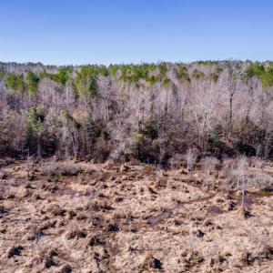 Photo #14 of SOLD property in Off Cheeks Quarter Road, Henderson, NC 9.6 acres