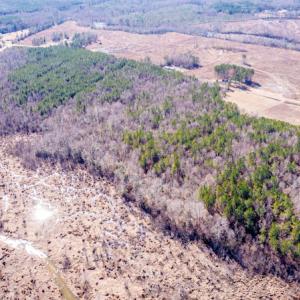 Photo #16 of SOLD property in Off Cheeks Quarter Road, Henderson, NC 9.6 acres
