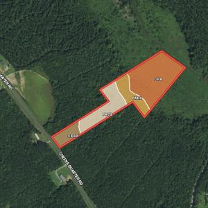 Photo #20 of SOLD property in Off Cheeks Quarter Road, Henderson, NC 9.6 acres