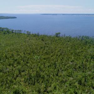Photo #7 of SOLD property in Off Nc Hwy 158 Causeway, Camden, NC 160.0 acres